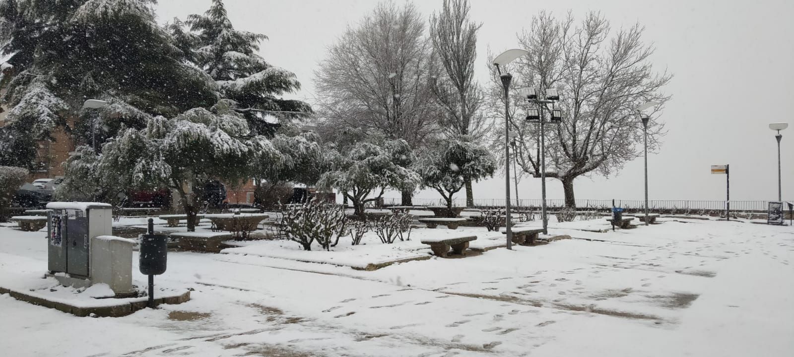 GALERIA | Así ha vivido Toro la nevada de hoy