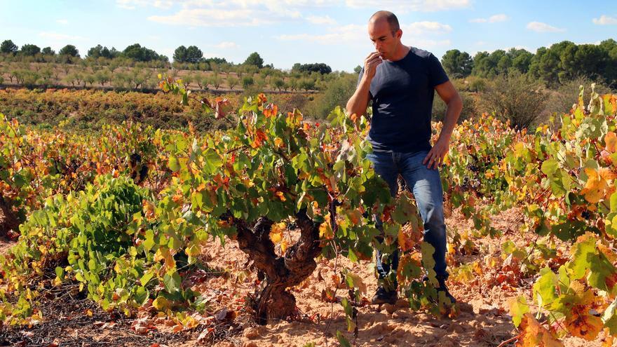 En busca de la pureza del vino