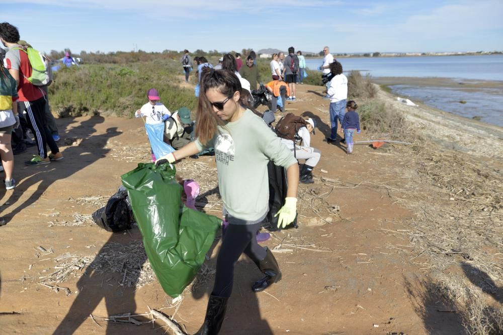 Recogida de plásticos en el Mar Menor