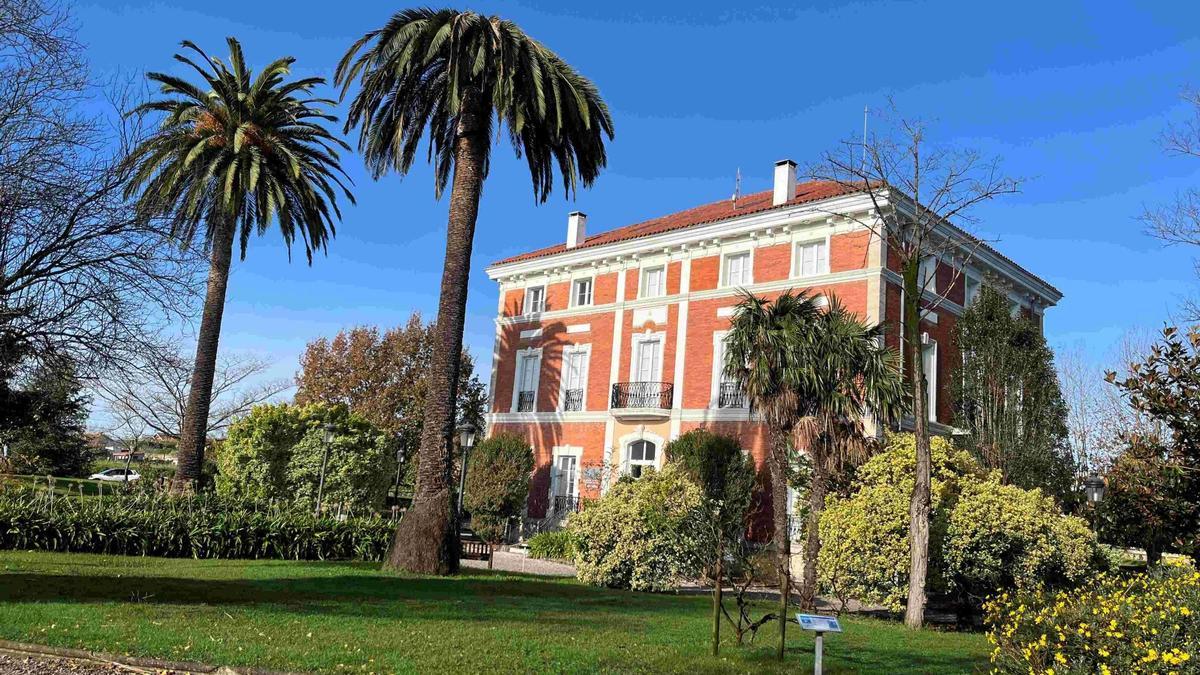 Dos palmeras de indianos afectadas por el picudo rojo en una finca de Cantabria.