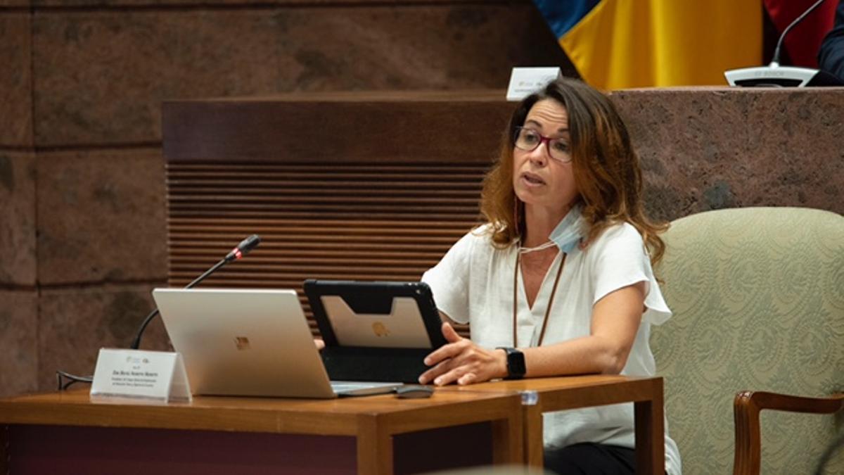 Eva Navarro, presidenta de COLEFC.