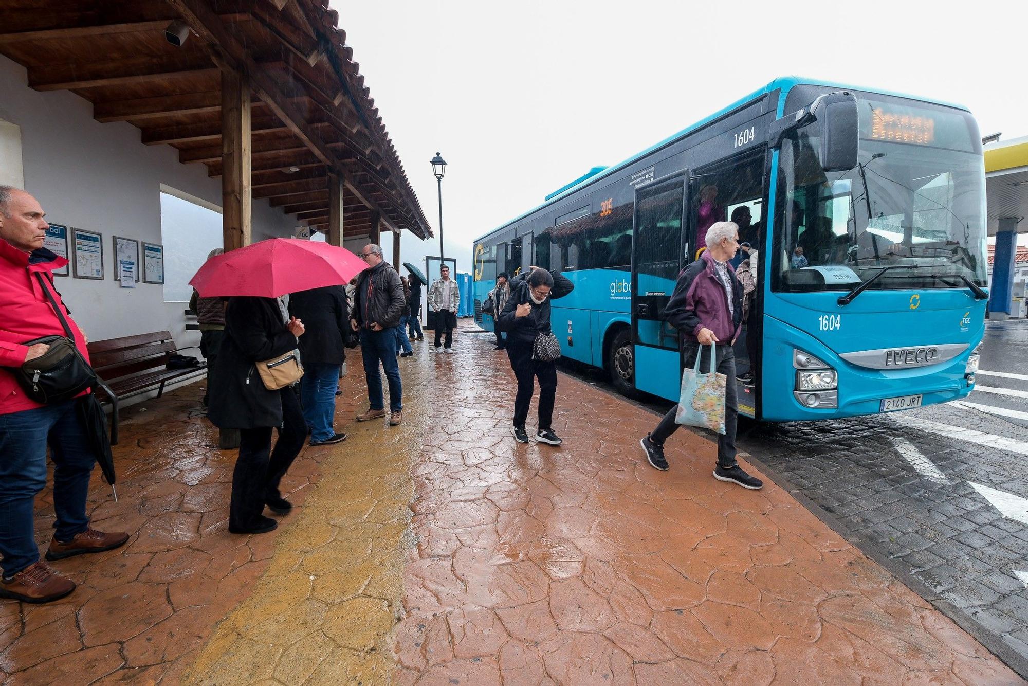 Encendido navideño de Tejeda