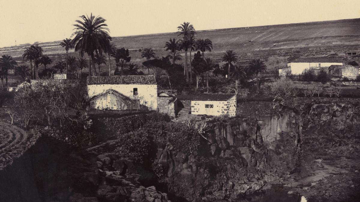 ¿Por qué se llama así Tamaraceite?