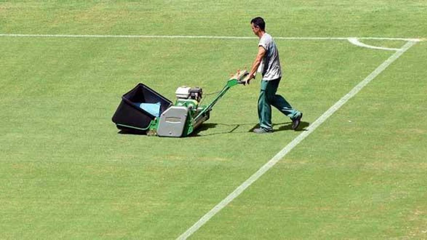 Jugadores y entrenadores se quejan del estado del césped