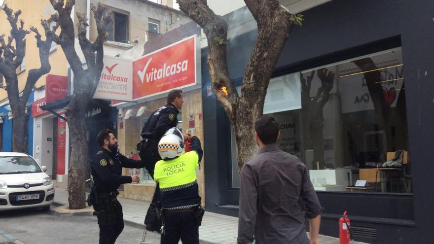 Susto en pleno centro de Dénia al prenderse fuego un árbol por un petardo