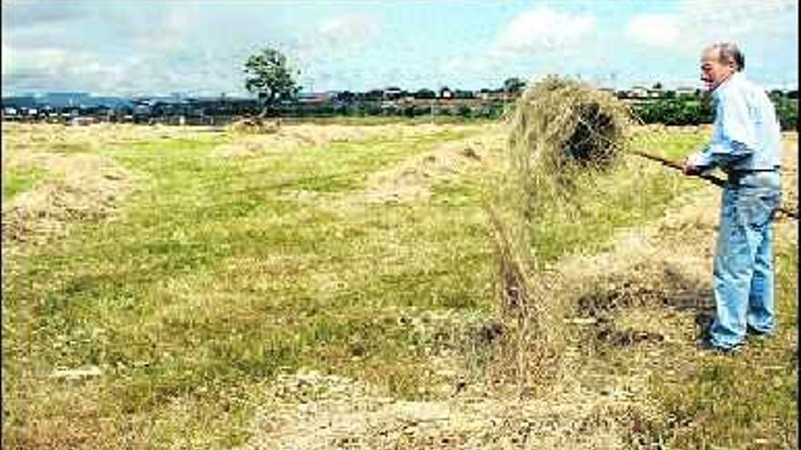 Ceferino Rionda, volteando la hierba, en los terrenos donde se construirán chalés.