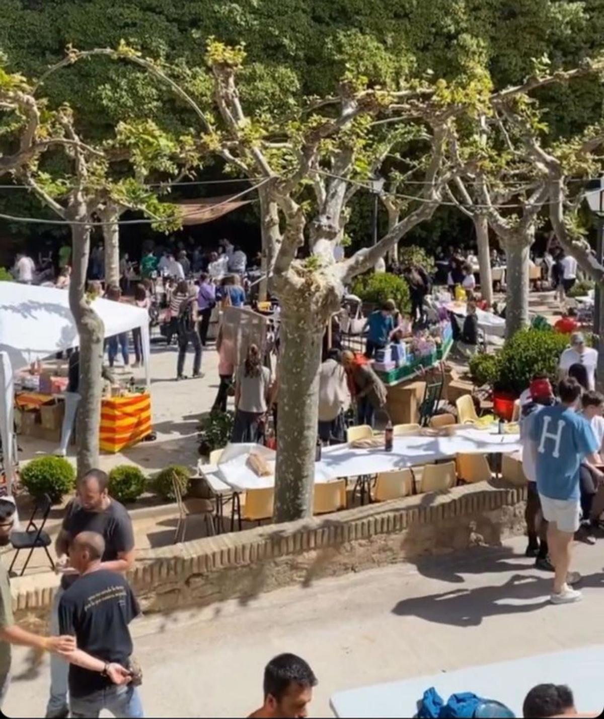 Comida popular en el parque municipal.