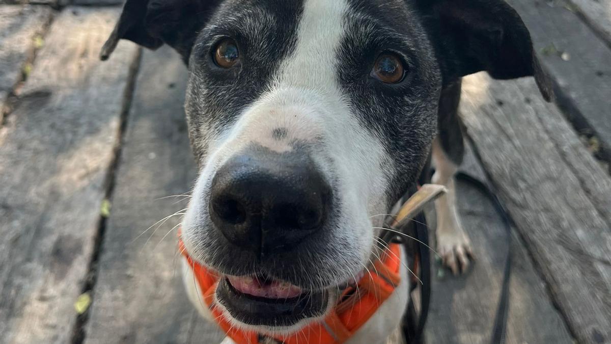 Amy, de 12 años, tras haber sido acogida tras la catástrofe tuvo que volver al refugio.