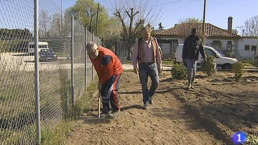 Laureano Oubiña Piñeiro, trabajando en la finca de la ONG San Francisco de Asís. // TVE