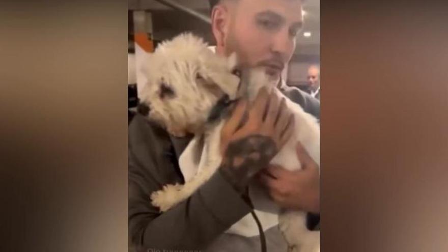 Así rescató Omar Montes a una perrita que estaba encerrada en un coche tras romper la ventanilla: «La pago con gusto»