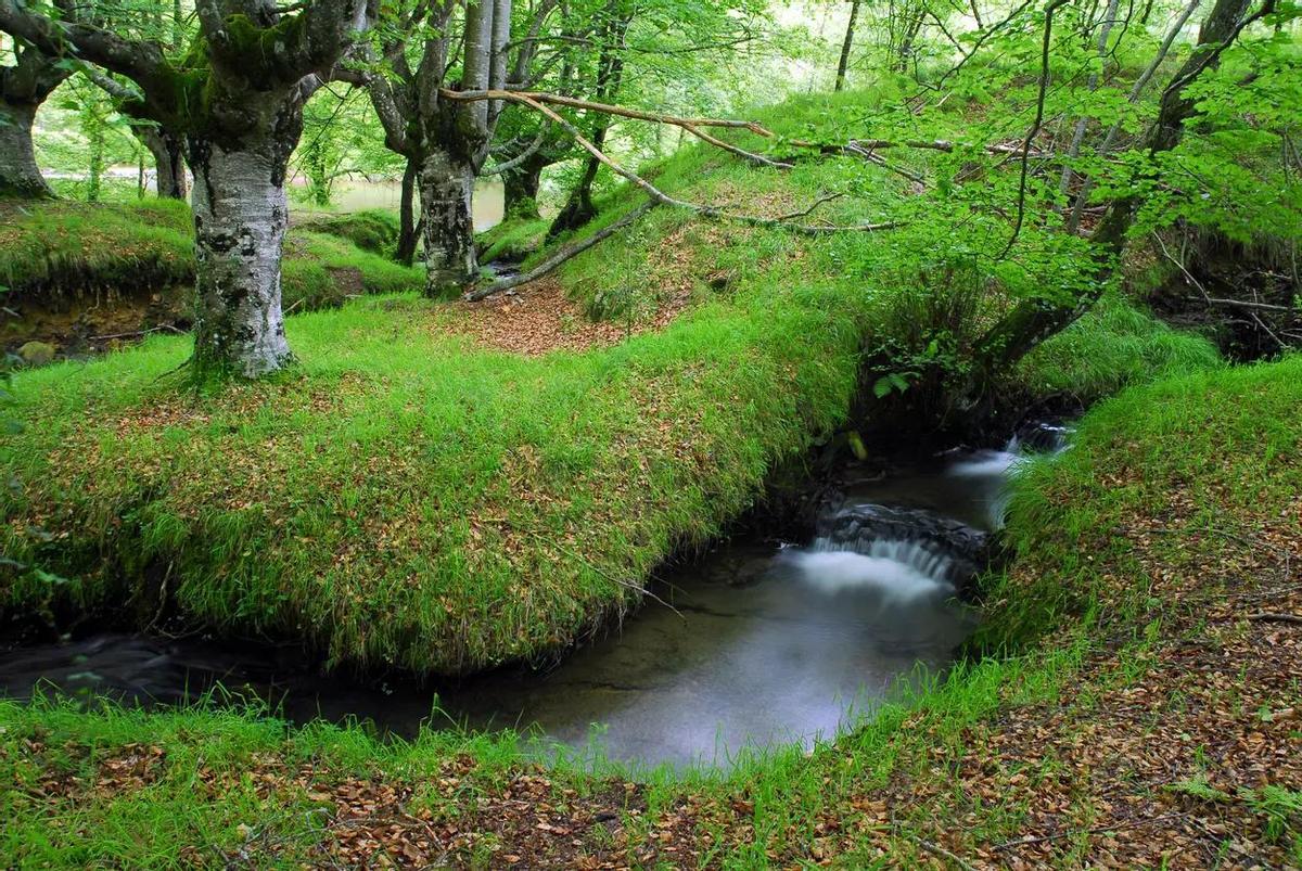 Paisaje en el Parque Natural de Gorbeia.