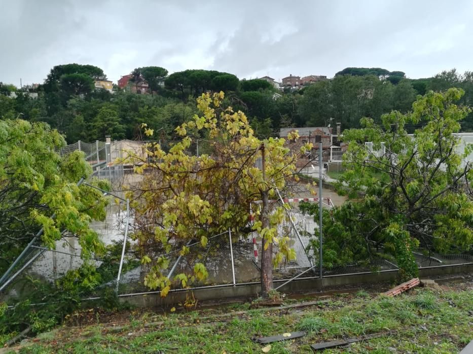 Destrosses a Riells i Viabrea per un tornado