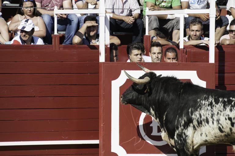 Concurso de cortes en la Plaza de Toros de Benaven