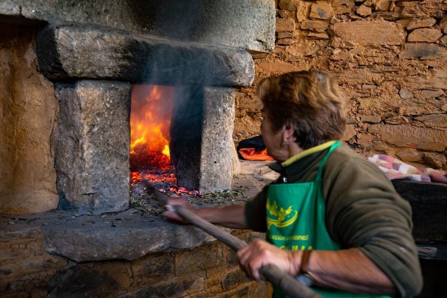 Elaboración de aceite en el molino de Latedo