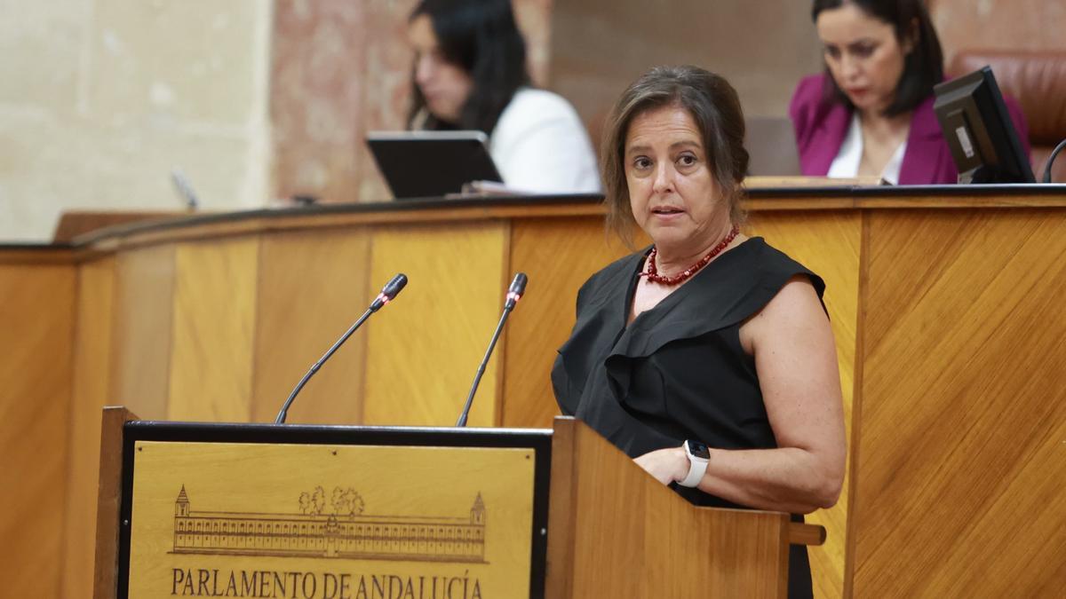 La consejera de Salud, Catalina García, durante su comparecencia este miércoles en el pleno del Parlamento de Andalucía