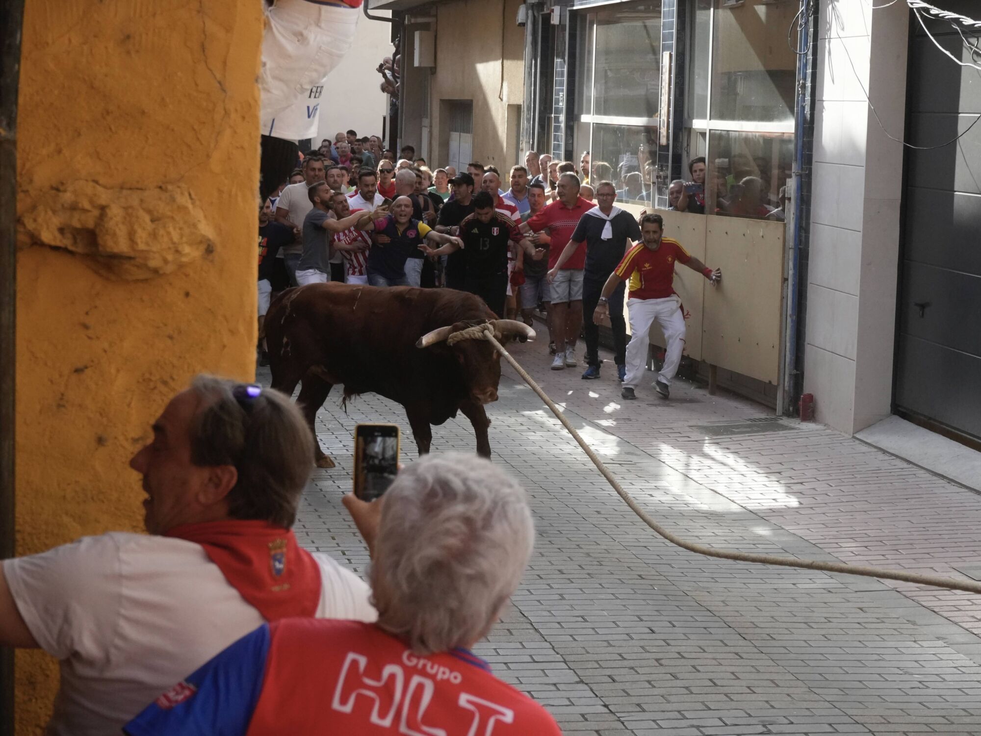 Las imágenes más impactantes del torito del alba de Benavente