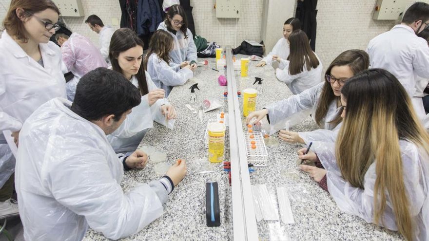 Aprenents de Fleming: a la recerca d'antibiòtics