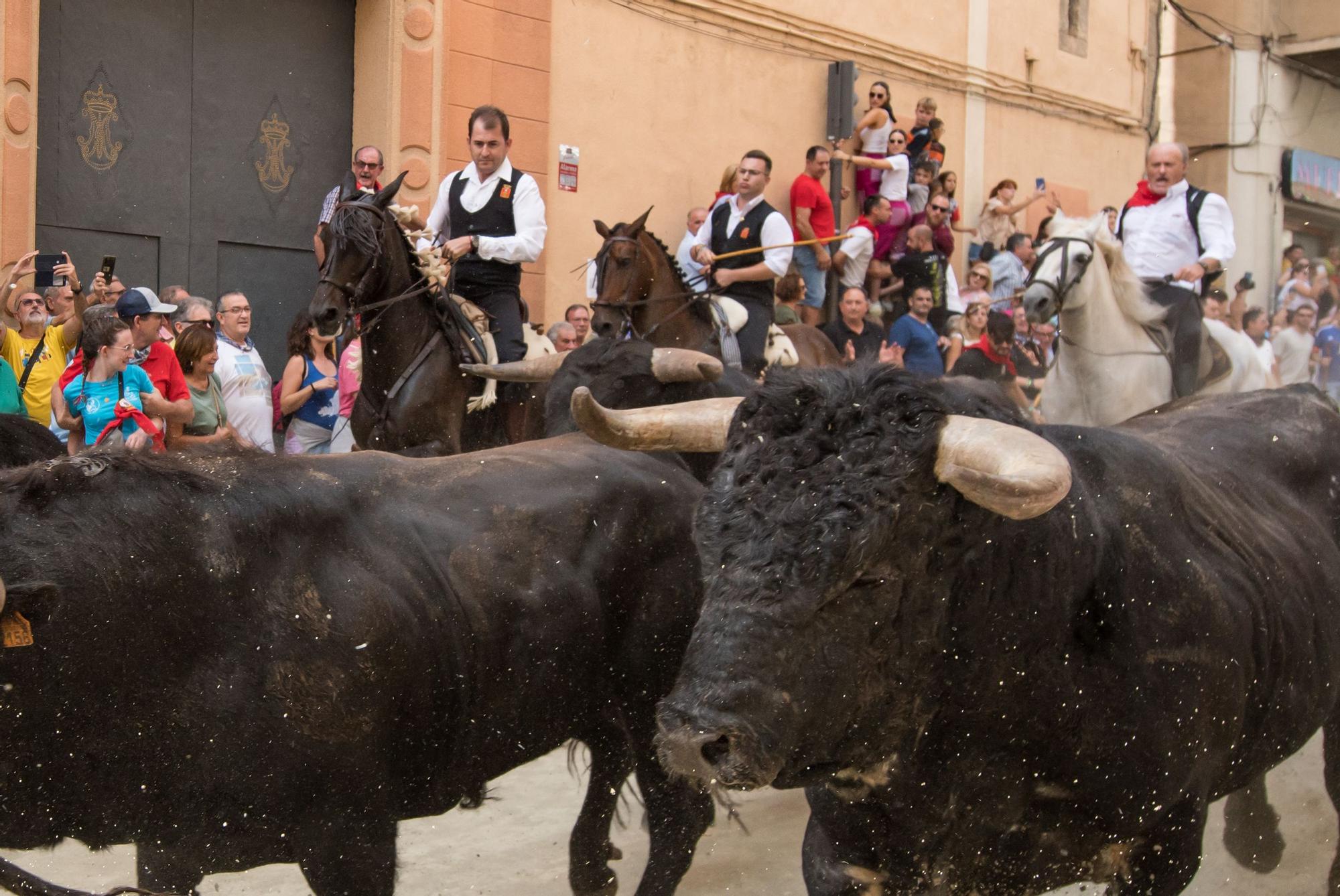 Todas las fotos de la tercera Entrada de Toros y Caballos de Segorbe