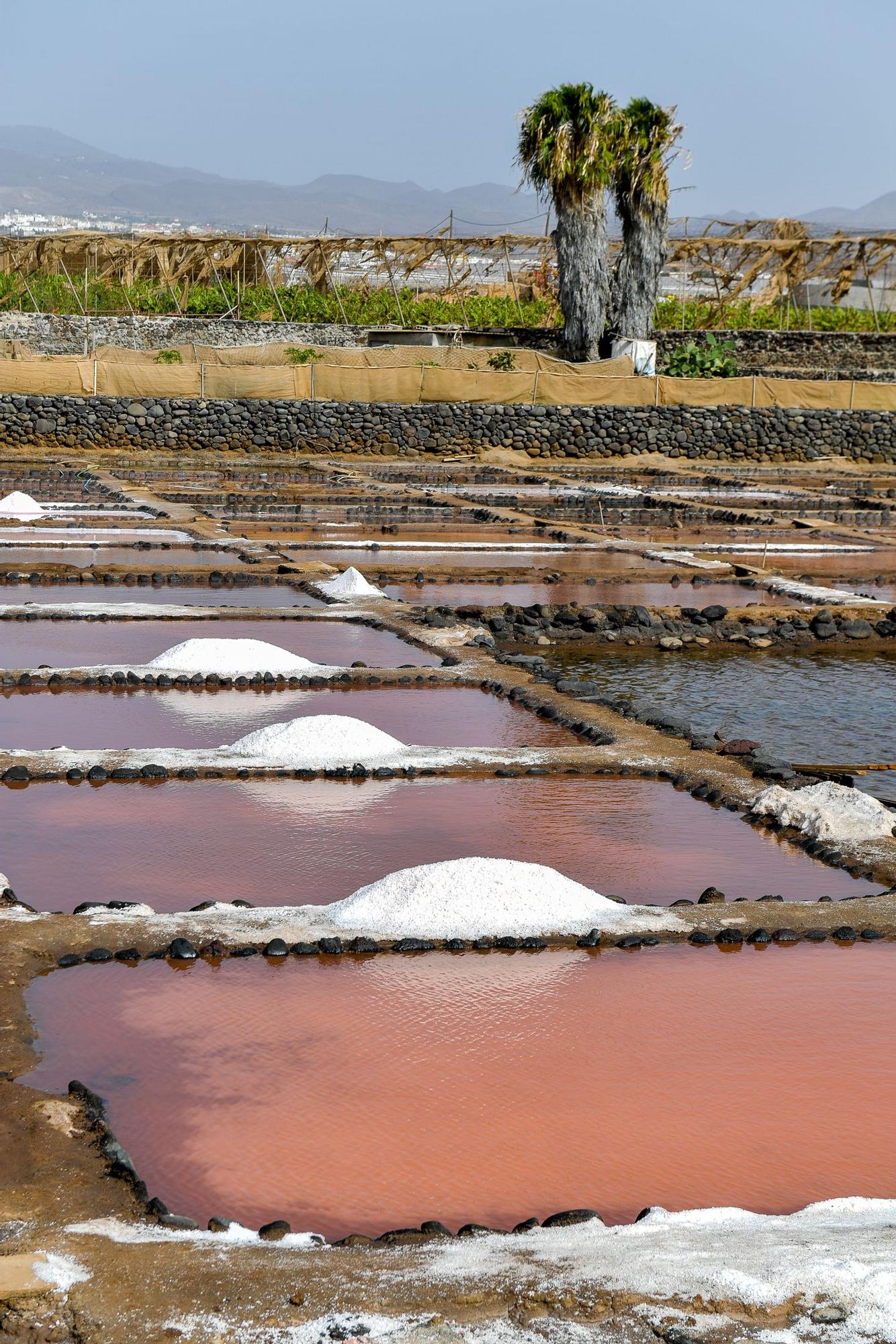 Salinas de Vargas