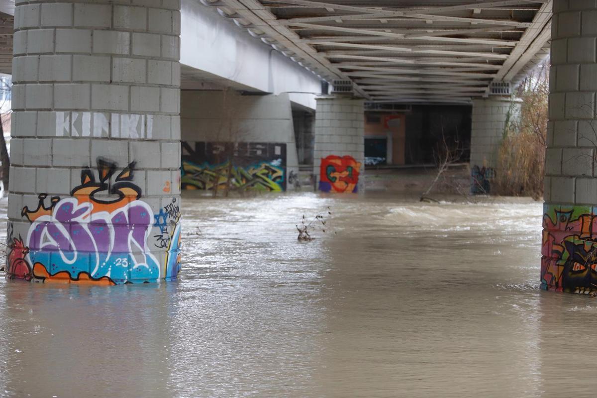 El Ebro, bajo uno de los puentes de Zaragoza, este viernes.