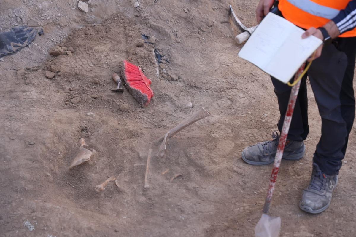 Los huesos han sido encontrados en un terreno donde se proyecta la construcción de un bloque de tres plantas