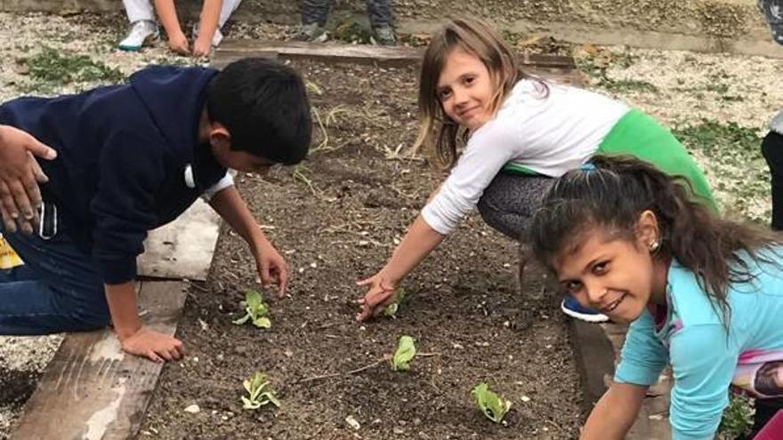 Convivencia que brota de la tierra