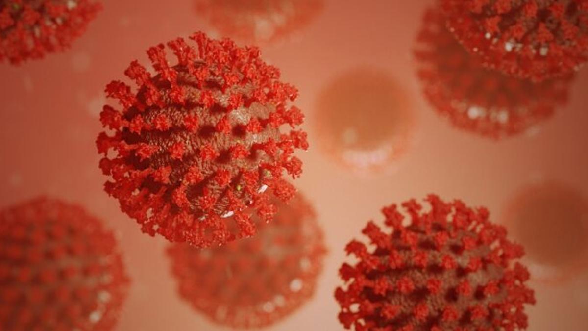 Aparece en la India una nueva cepa «doble mutante» del coronavirus
