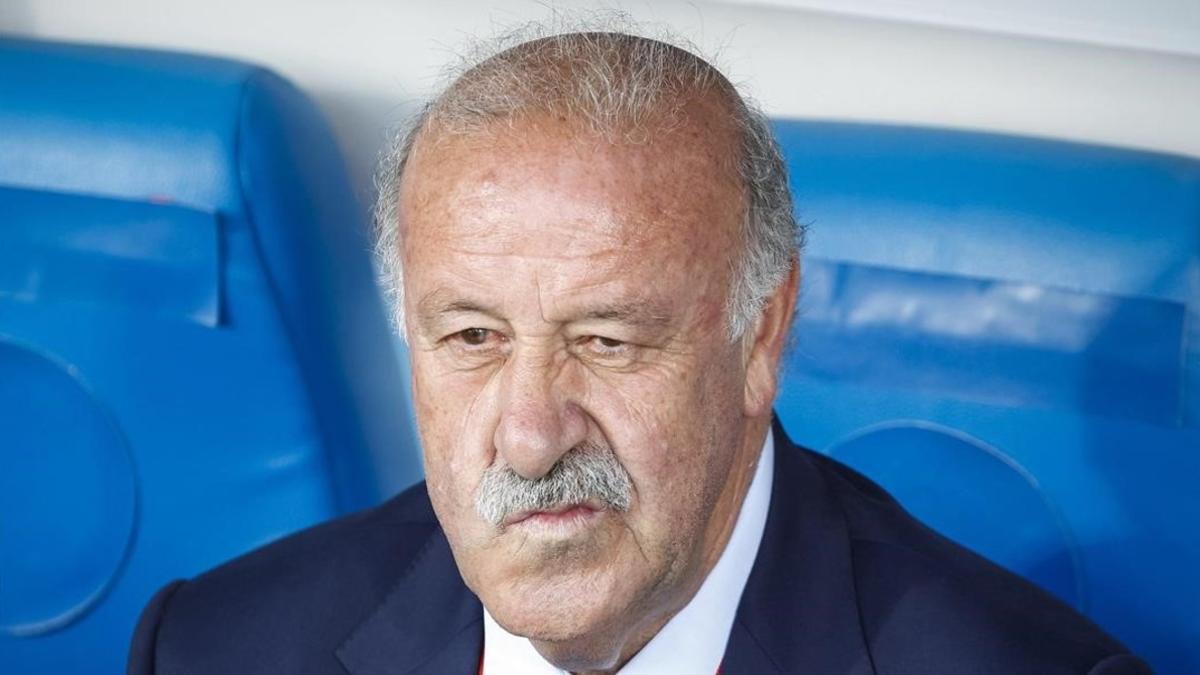 Vicente del Bosque, con gesto de preocupación durante el amistoso España-Georgia