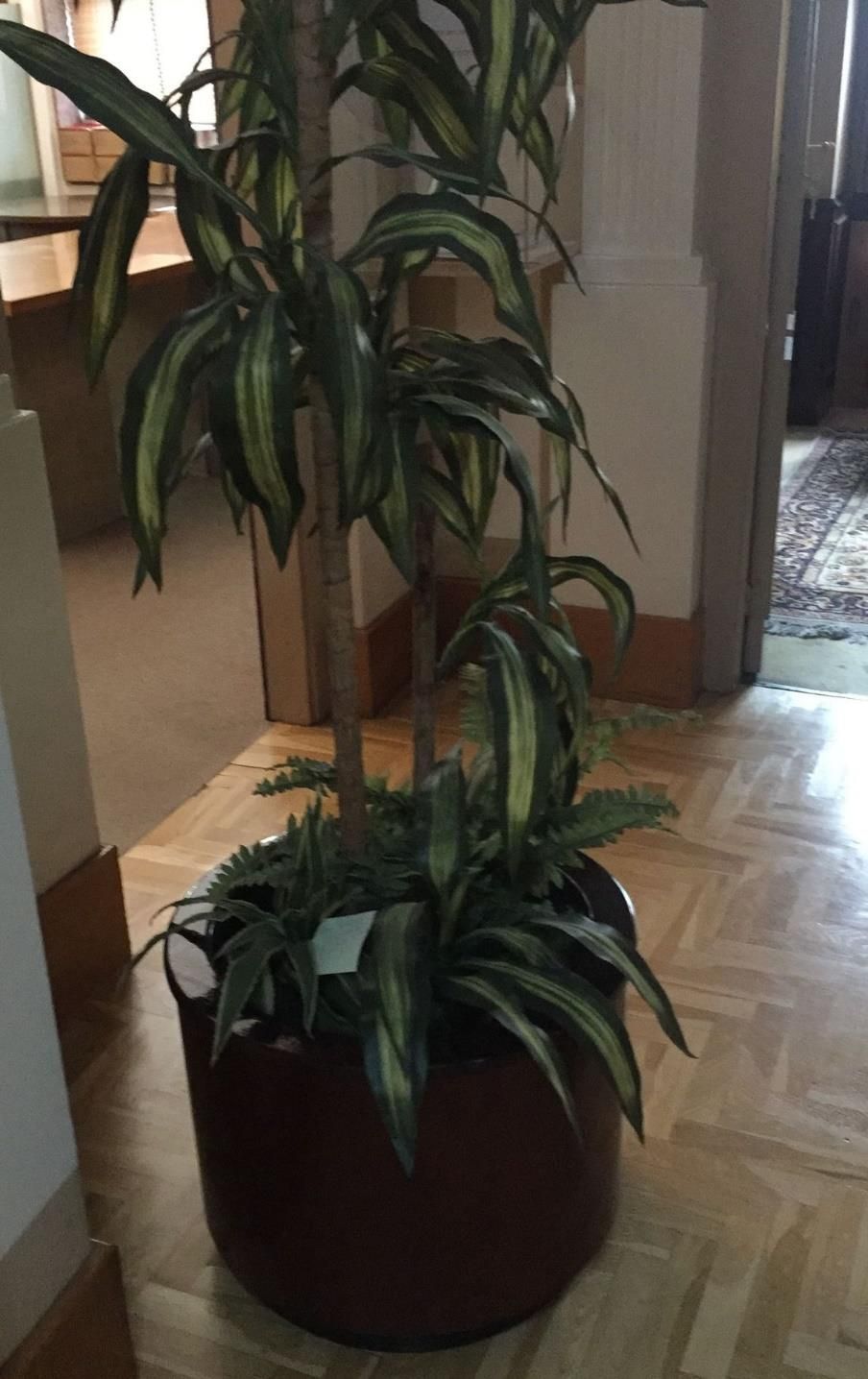 Las «rebajas» del Colegio de Abogados de Vigo: ponen a la venta muebles con historia