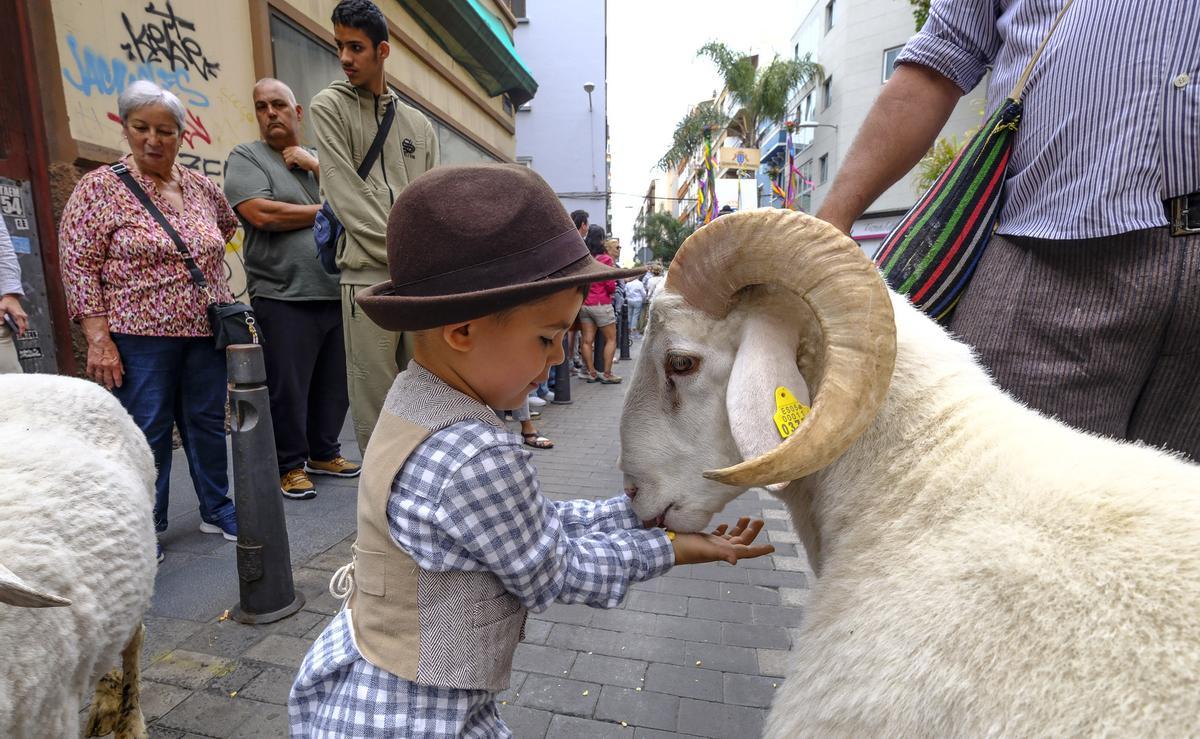 Paseo Romero de Las Canteras