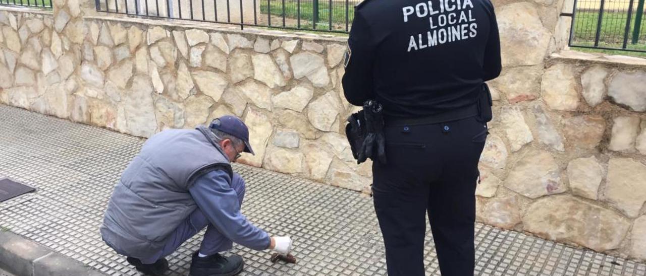 Almoines analiza las primeras 20 muestras de heces de perros recogidas en la calle