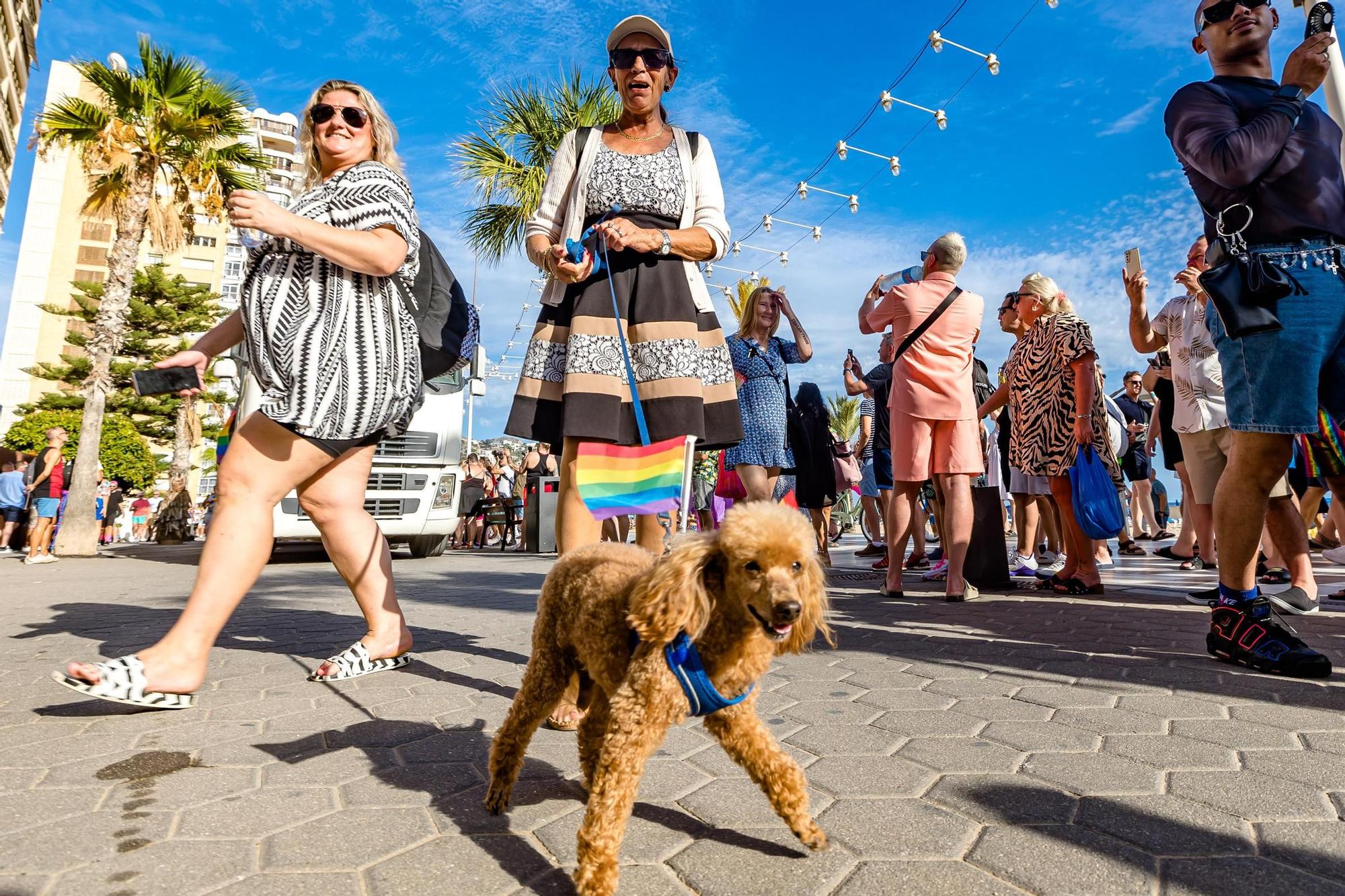 Cientos de personas festejan el Benidorm Pride con un multitudinario desfile y una fiesta en l'Aigüera