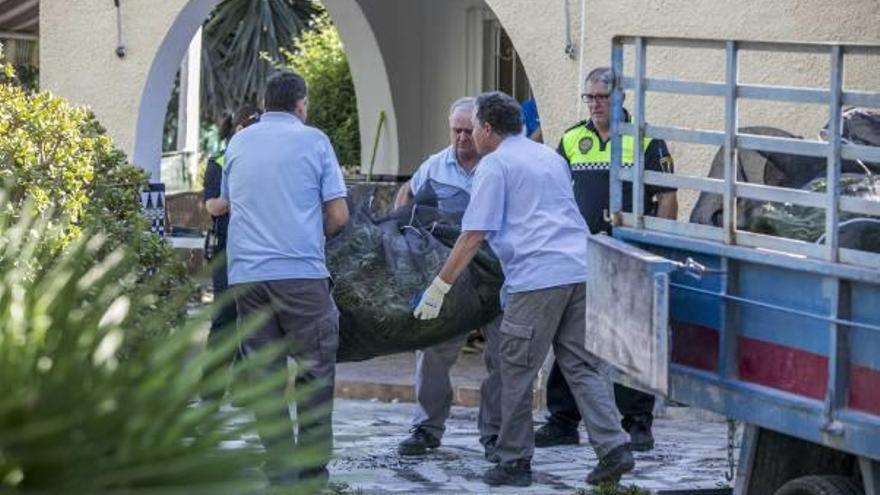 Descubren 900 plantas de marihuana en Torrellano