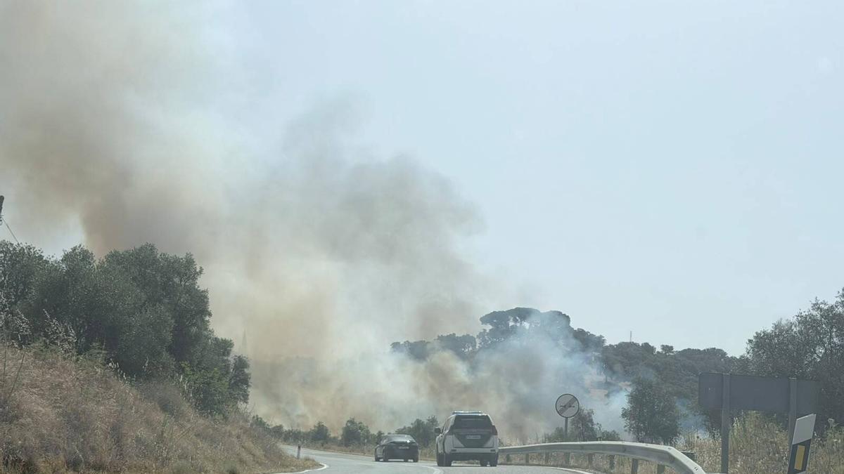 Incendio forestal declarado en El Pedroso (Sevilla) el domingo 21 de junio próximo a la carretera A-432.