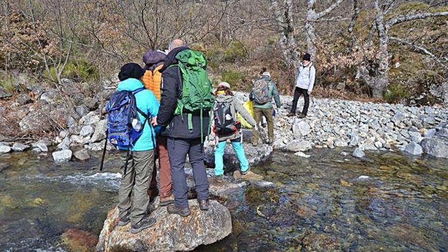 Los voluntarios durante las tareas ambientales.