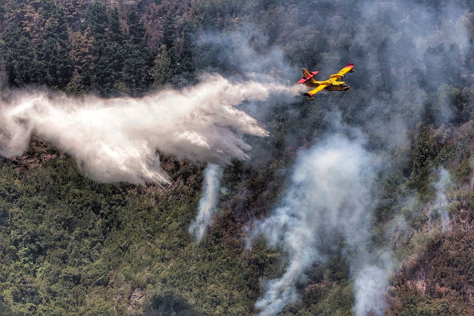 Labores de extinción del incendio en Tigaiga, Tenerife (26/07/2022)