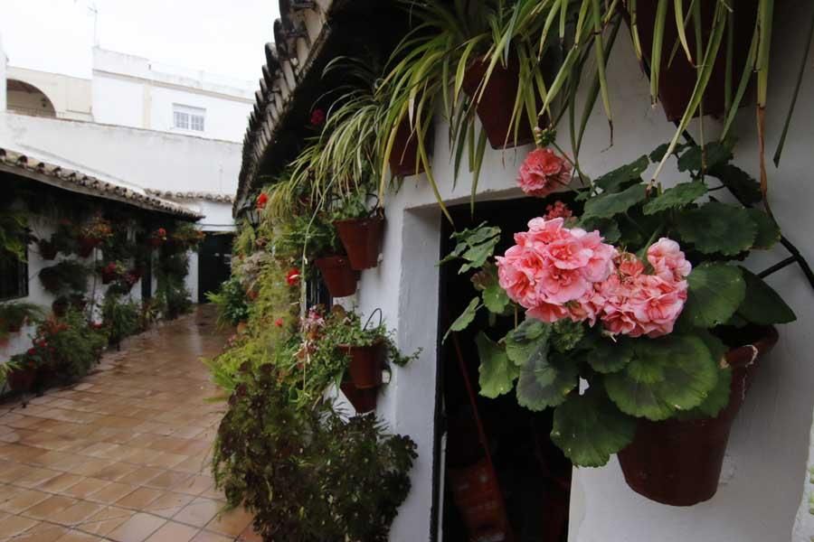 Los patios de Córdoba, San Lorenzo 2