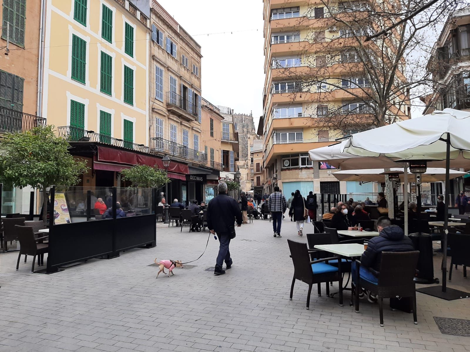 Mallorca recupera las terrazas