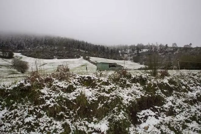 Tiempo en Galicia | Llegan las primeras nevadas a Galicia