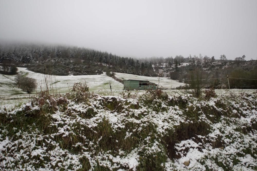 Llegan las primeras nevadas a Galicia