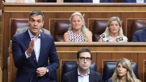 La moció, ideal per al PSOE