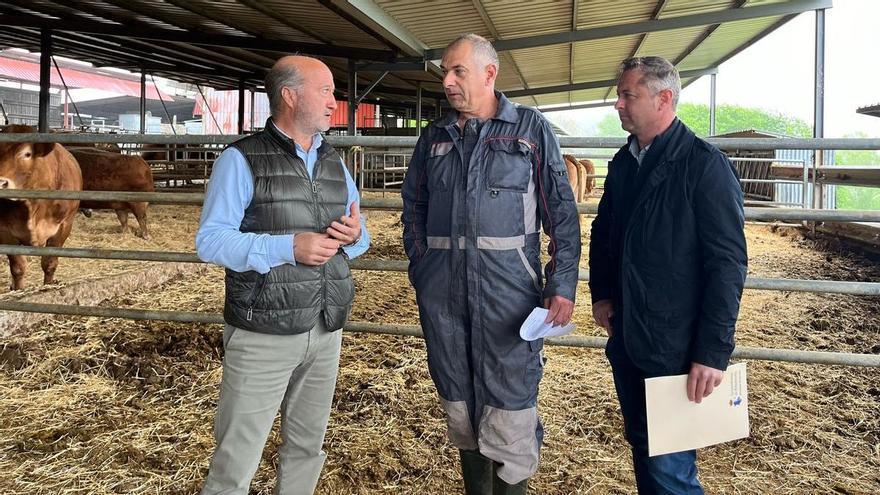 &quot;Barbón no ha abonado ni un euro por las pérdidas de la &#039;fiebre de las vacas&#039; siete meses después del primer foco&quot;, denuncia el PP