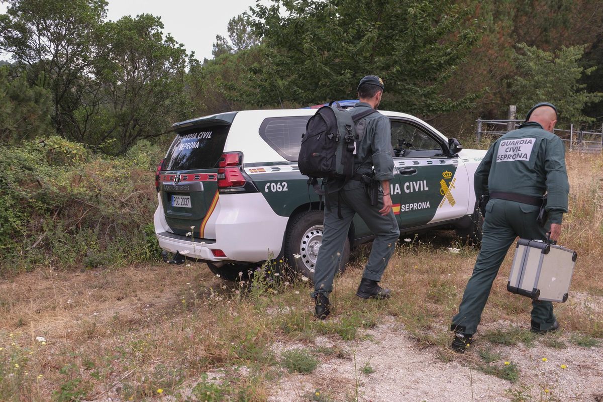 Investigadores de incendios del Seprona se dirigen a una zona forestal con material técnico de inspección.