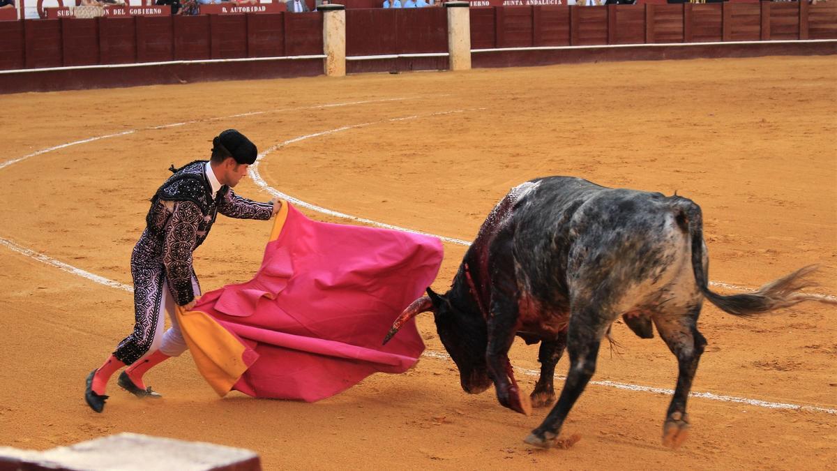 Corrida de toros