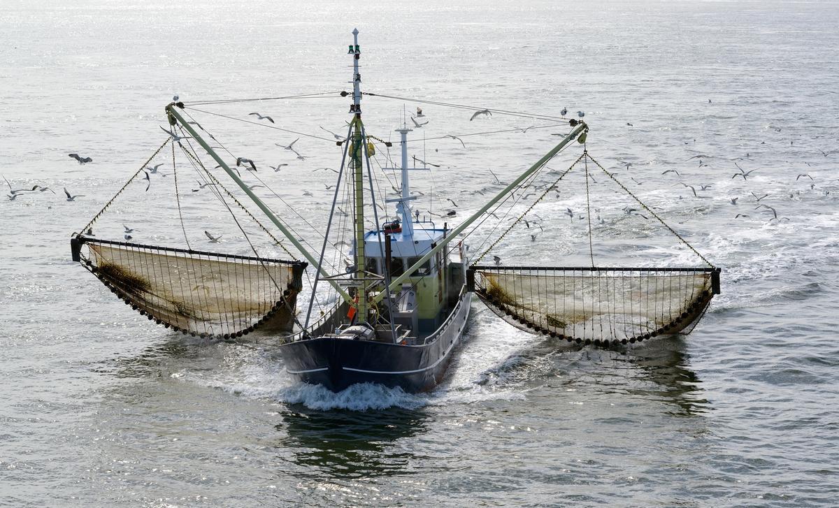 La pesca ilegal se distribuye de forma desigual en el planeta