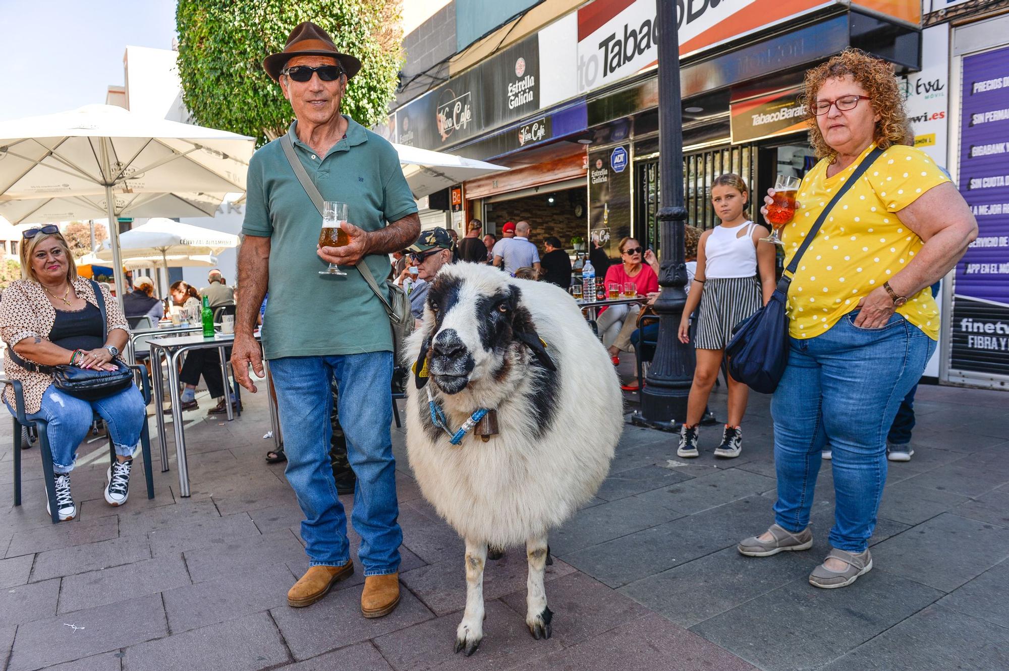 Fiestas de San Gregorio