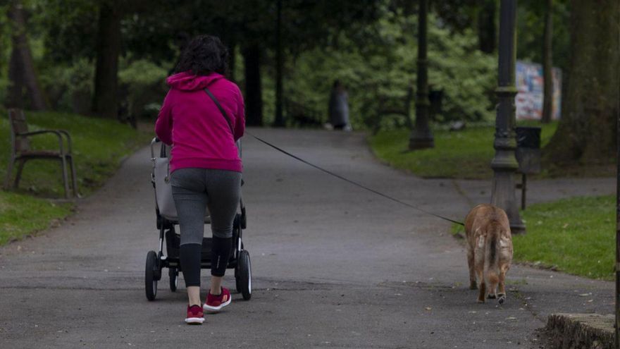 Avilés tiene censados tres mil perros más que niños y adolescentes juntos