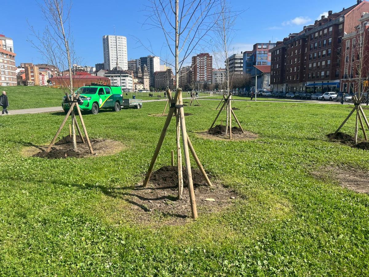 El entorno del futuro bosque urbano del Solarón
