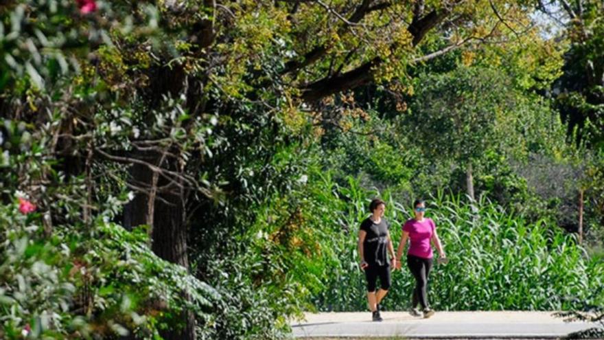Estas son las tres mejores rutas de senderismo para descubrir el paraíso otoñal de La Contraparada en Murcia: fáciles y sin desnivel