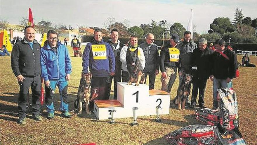 Un torneo de alto nivel para perros